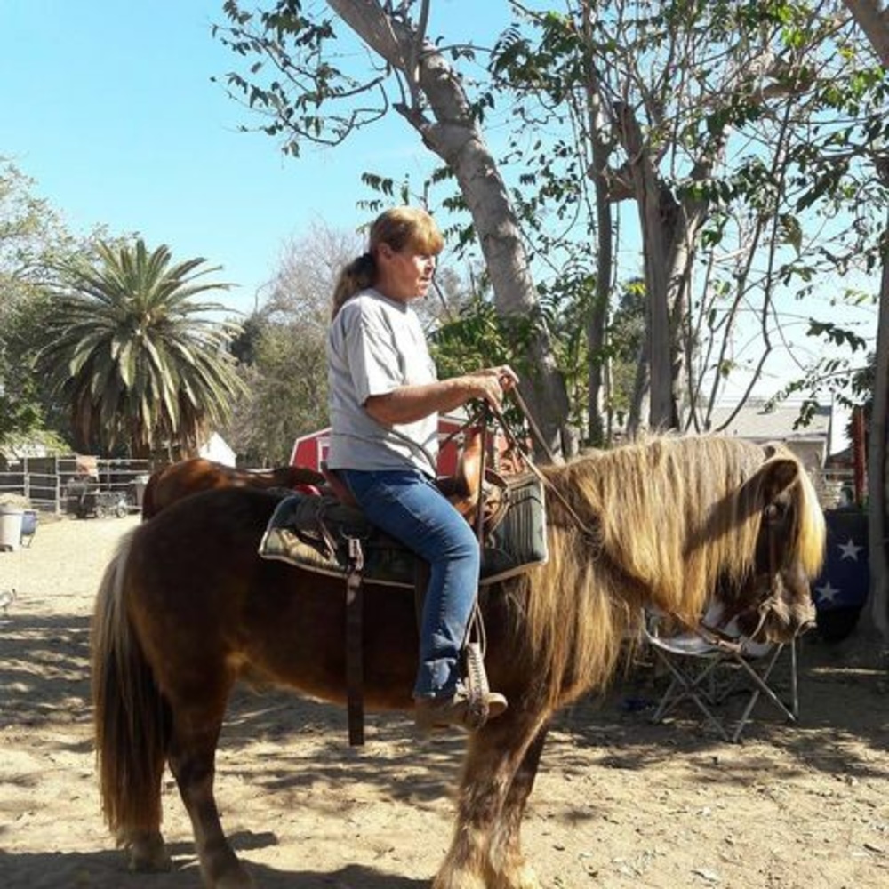 Meet your Posher, Julie